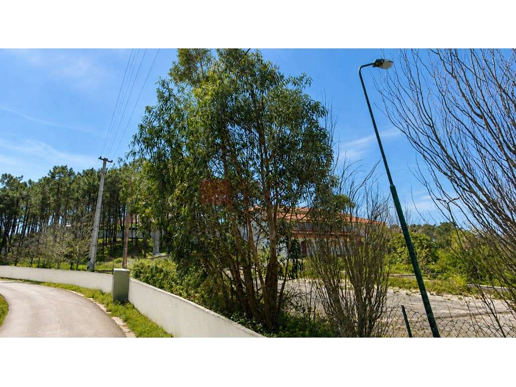 Ericeira - Espaço comercial - elevado potencial de expansão - Grande imagem: 3/14