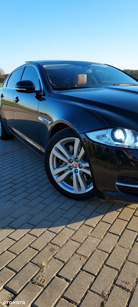 Jaguar XJ 3.0 V6 Kompressor Portfolio - 3