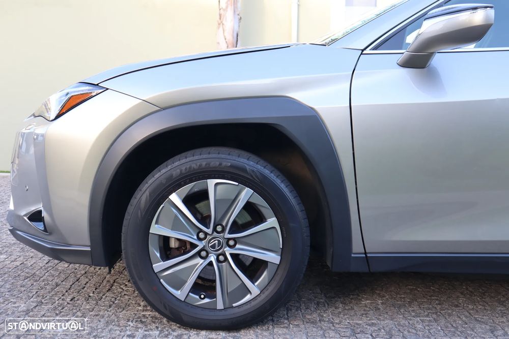 Lexus UX 300e Luxury - 9