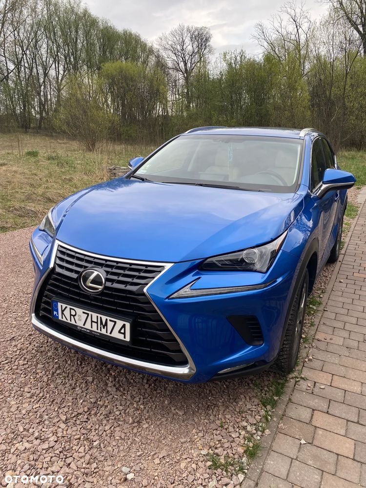 Lexus NX 300 Business Edition AWD - 3