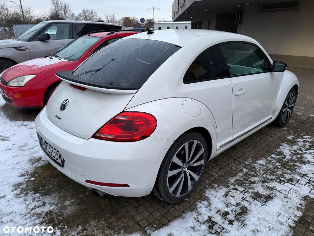 Volkswagen Beetle - 9
