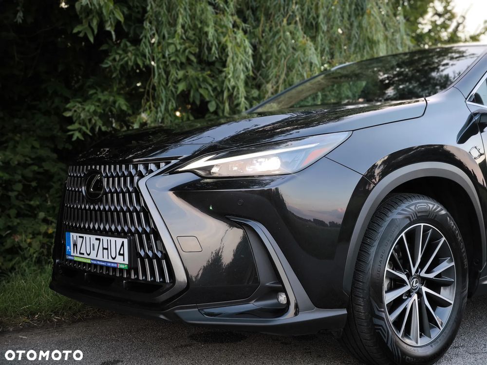 Lexus NX - 11