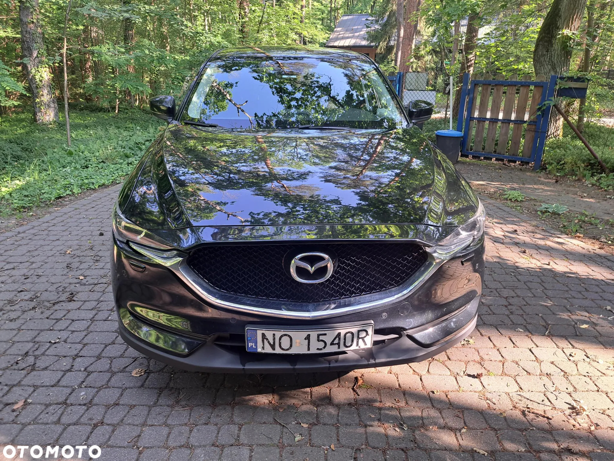Mazda CX-5 2.0 Skyenergy 2WD - 7