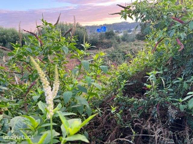 Terreno em Gaia Área: 8.095 m2 para Construção de Unidade Hoteleira - Grande imagem: 5/17