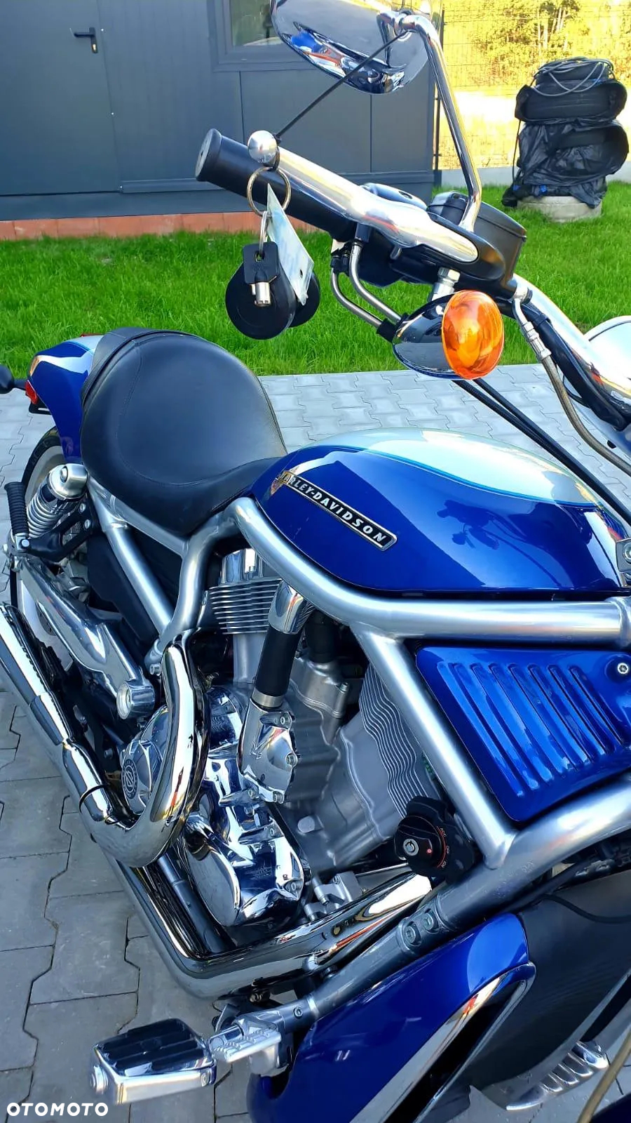 Harley-Davidson Softail V-Rod - 8