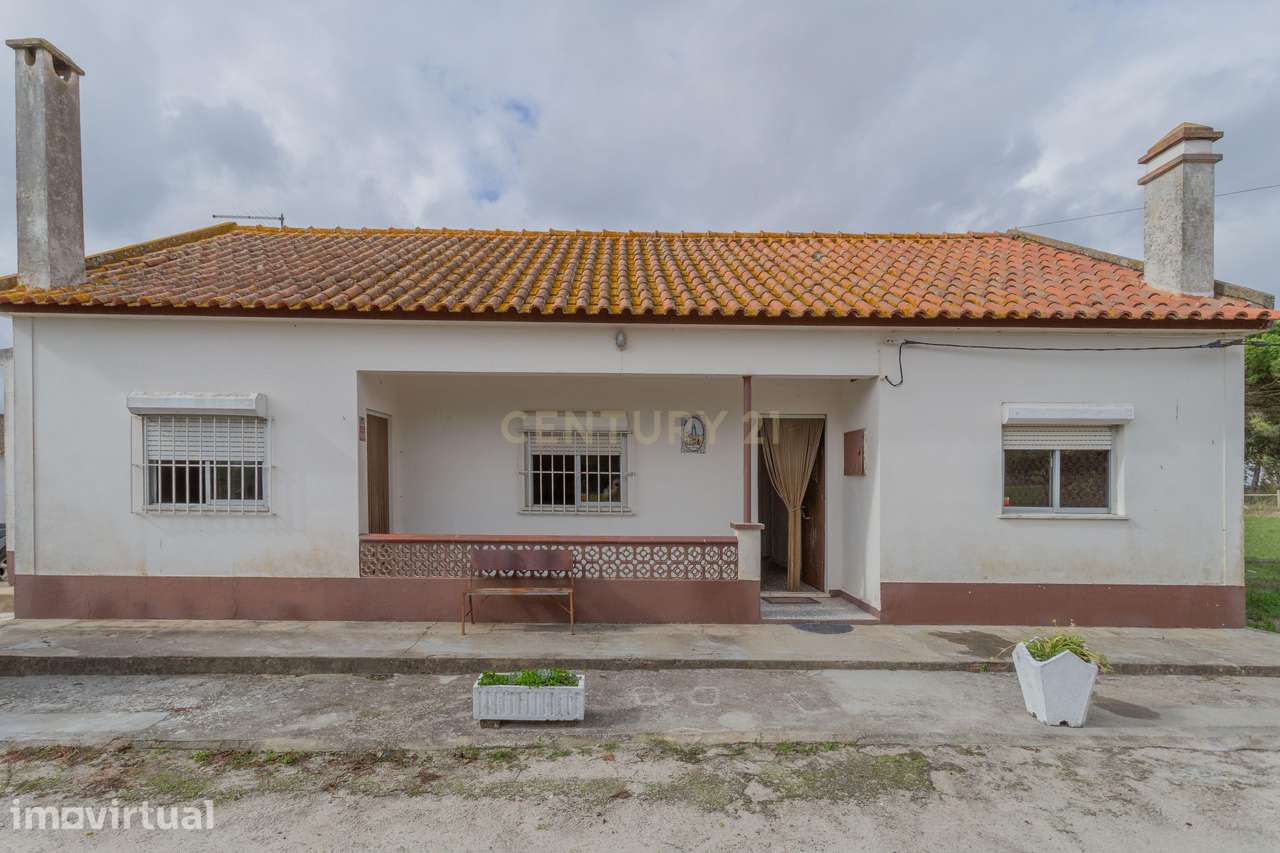 Casa com armazém e terreno de 2 ha - Grande imagem: 2/18