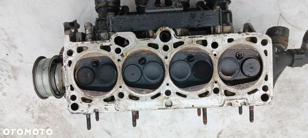 Głowica Audi A4 B5 1,6B 8V ARM 06b103373a VOLKSWAGEN SEAT SKODA 1.6 benzyna - 1