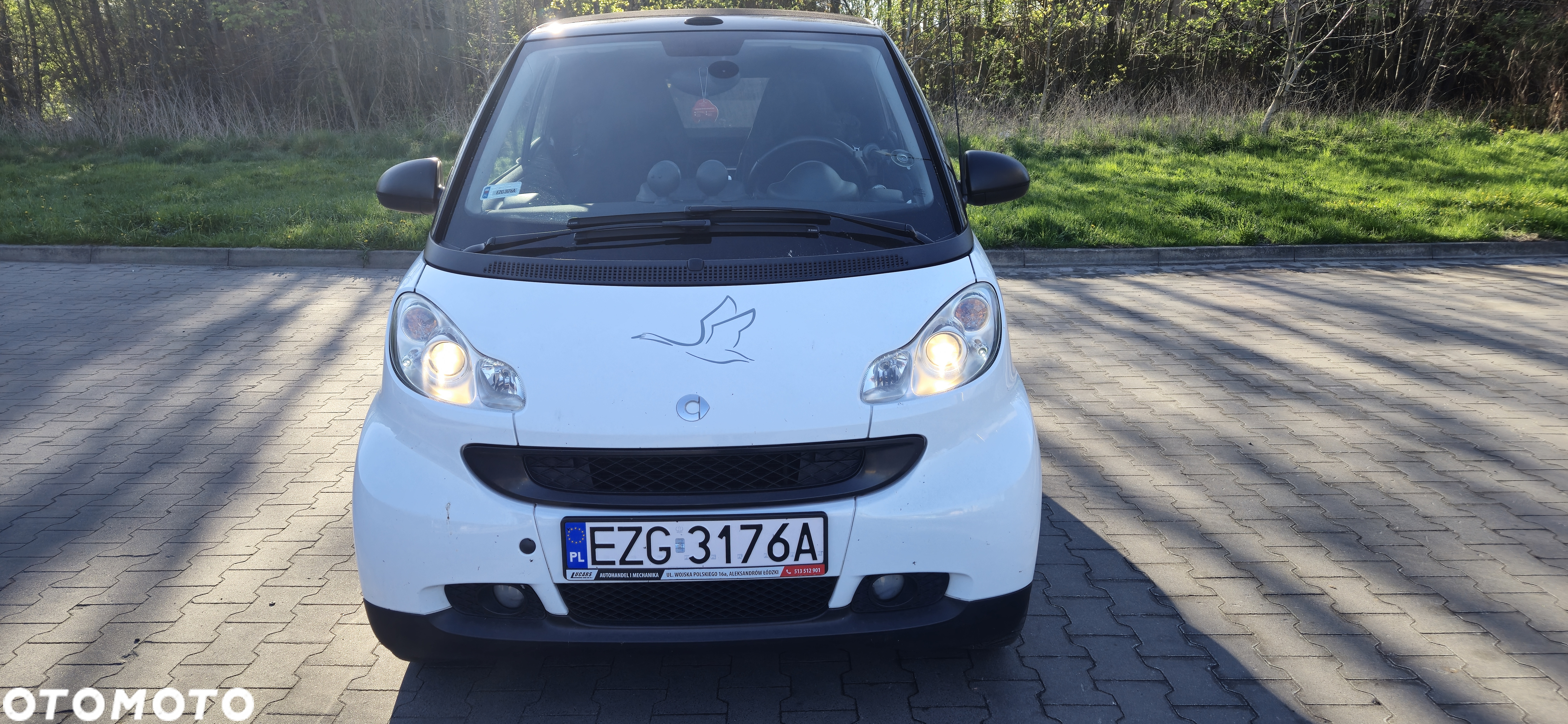 Smart Fortwo & passion cdi - 2