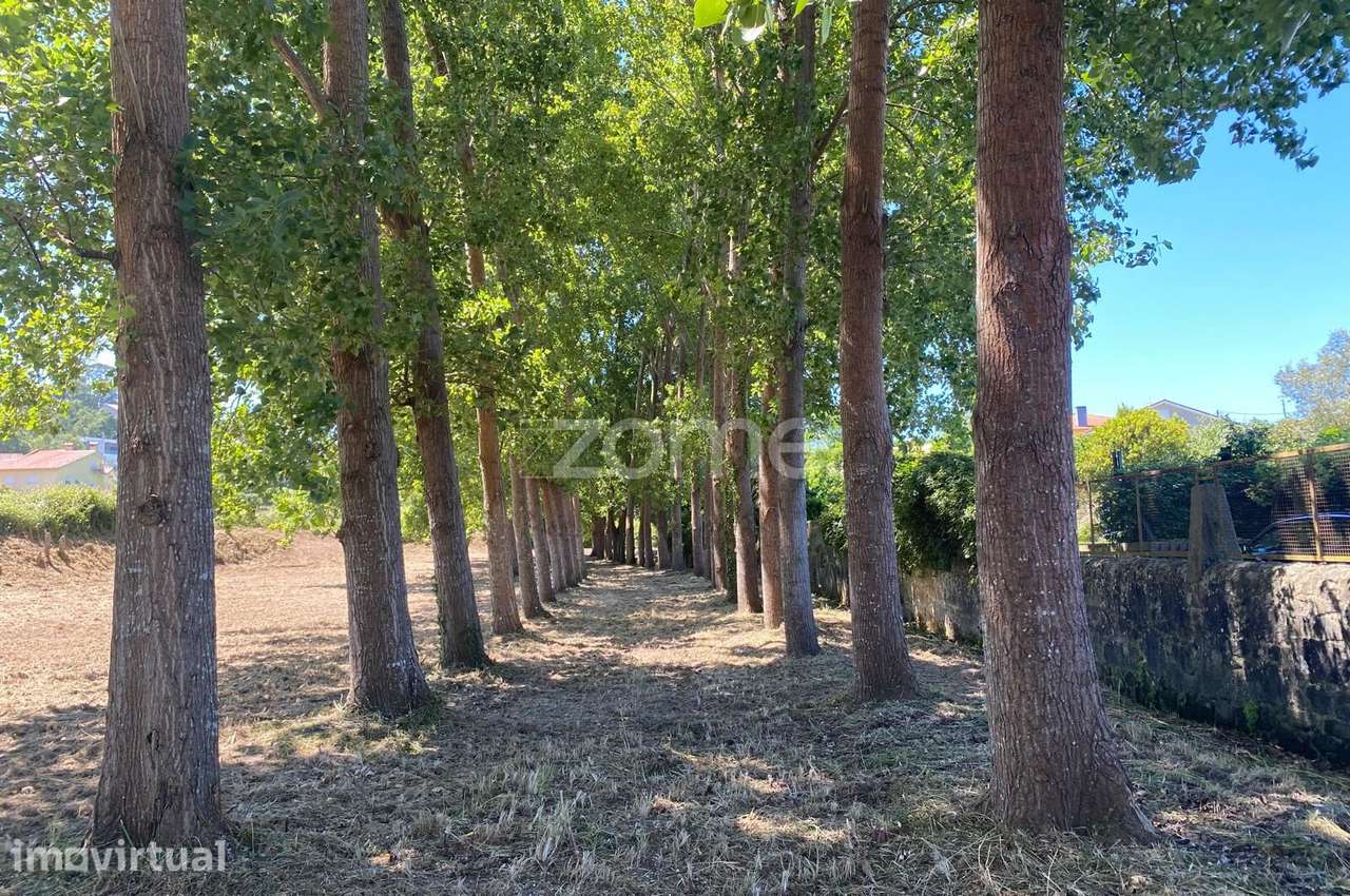 Terreno para construção em Antas, Esposende - Grande imagem: 2/15