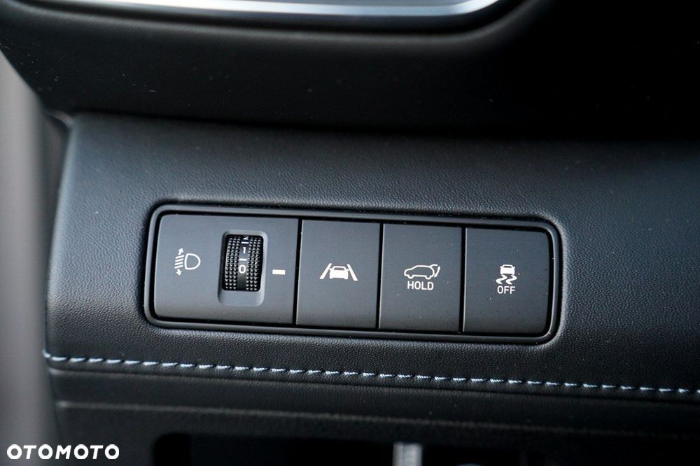 Hyundai Santa Fe - 30