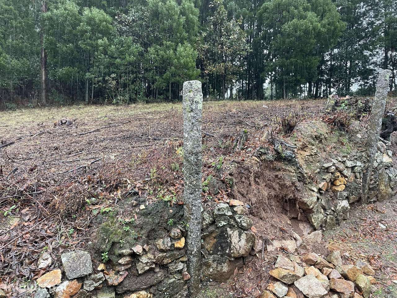 Terreno com 8.950 m² para Construção em Pedroso - Grande imagem: 3/13