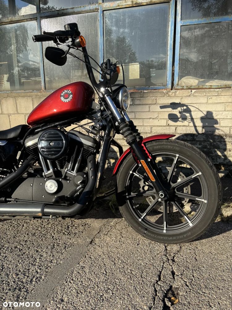 Harley-Davidson Sportster Iron 883 - 8