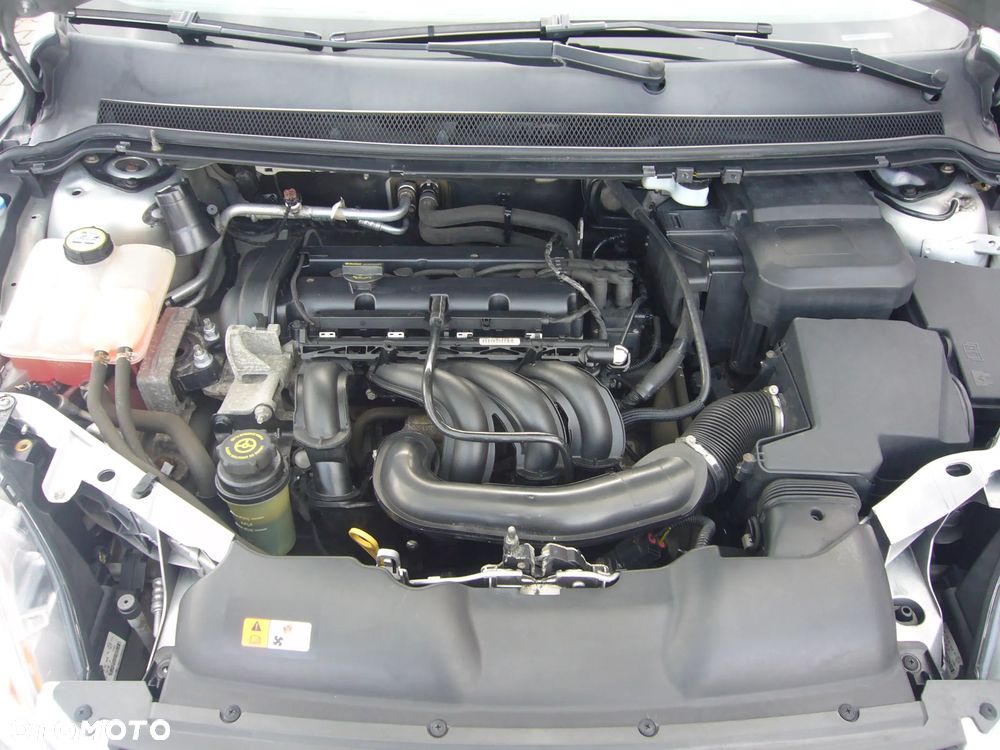 Ford Focus 1.6 Amber X EU5 - 21