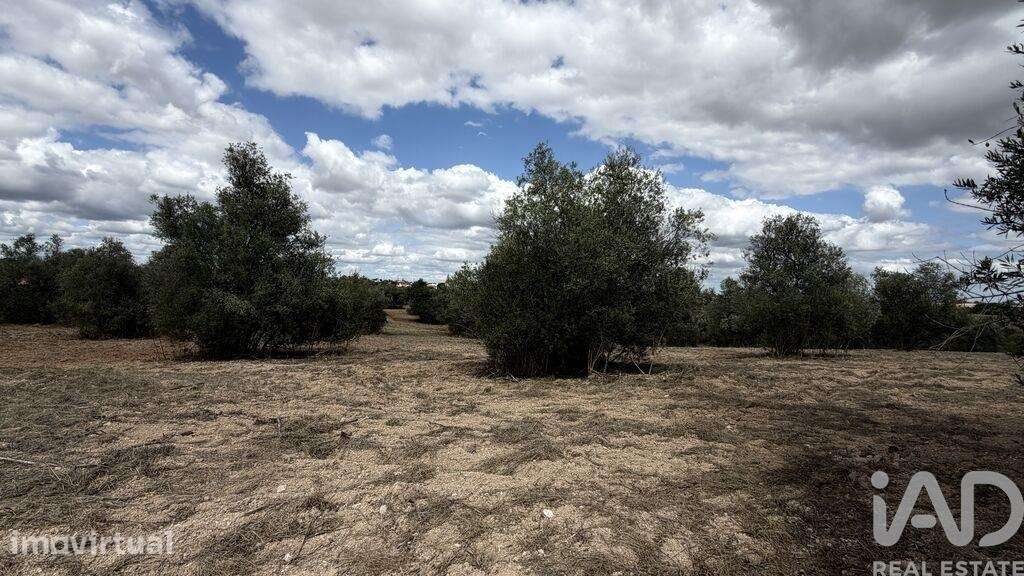 Terreno em Romeira e Várzea - Grande imagem: 2/13