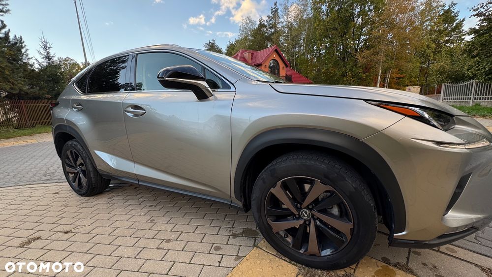 Lexus NX 300 Business Edition AWD - 8