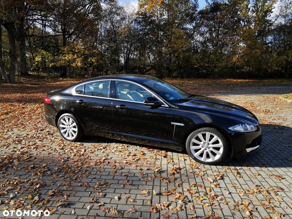 Jaguar XF 3.0 V6 D Premium Luxury - 2