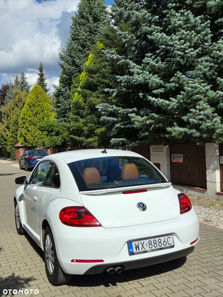Volkswagen Beetle - 4