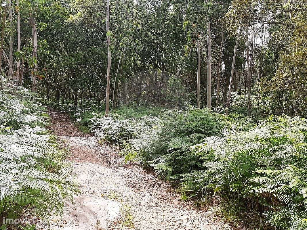 Terreno  para venda - Grande imagem: 4/7