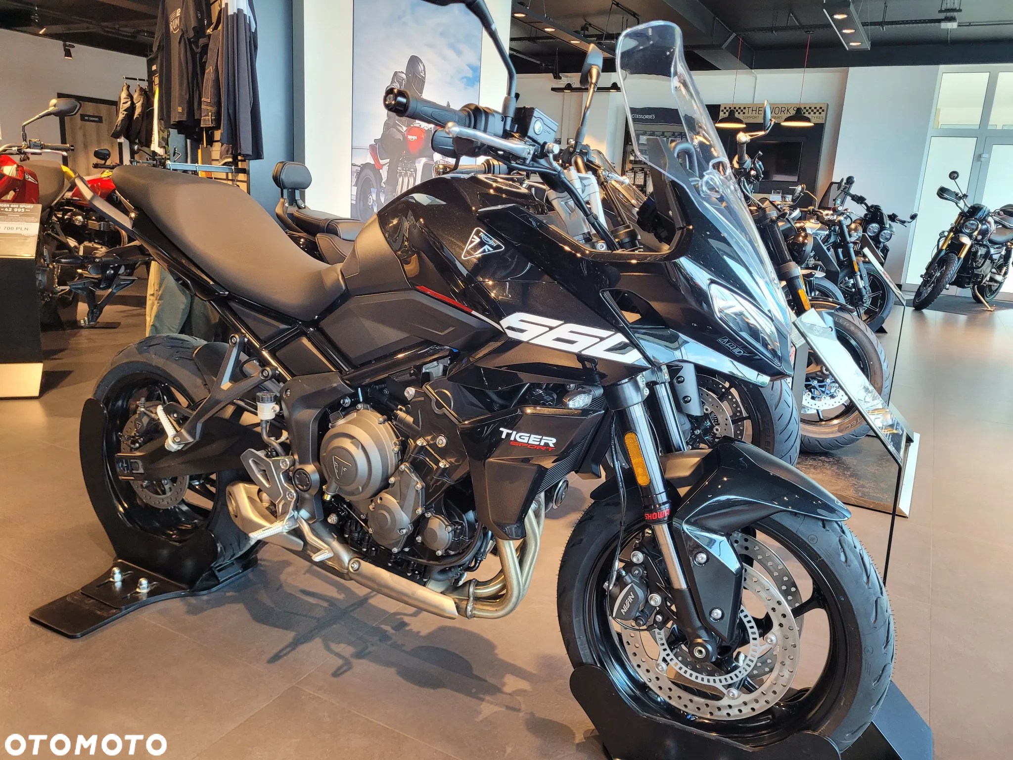 Triumph Tiger