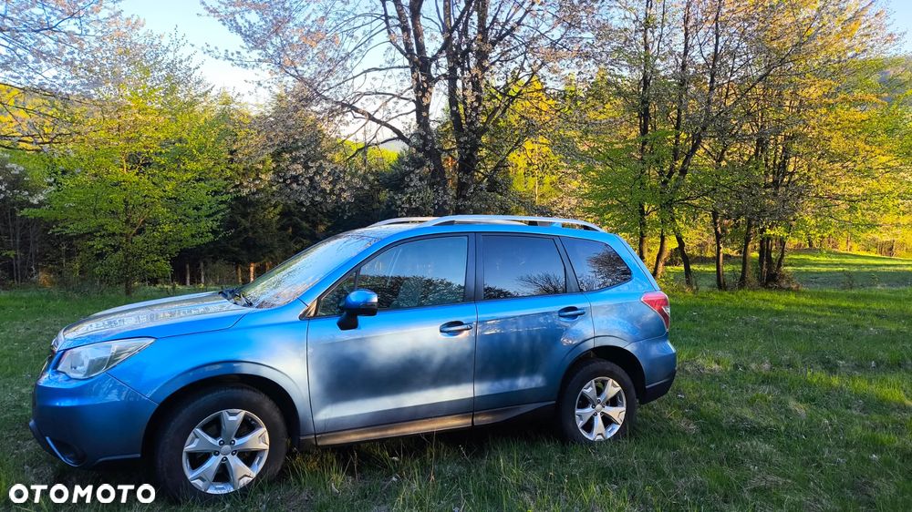 Subaru Forester - 15