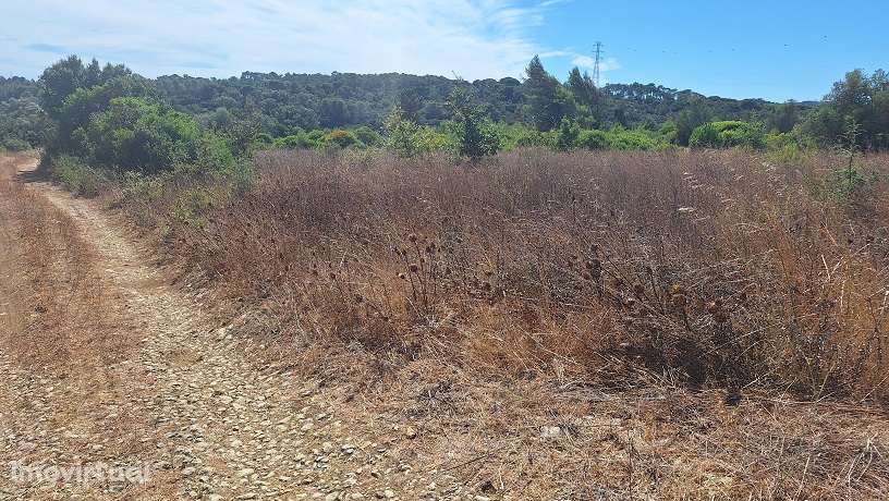 Terreno, 4 040 m², Pontével - Grande imagem: 2/5