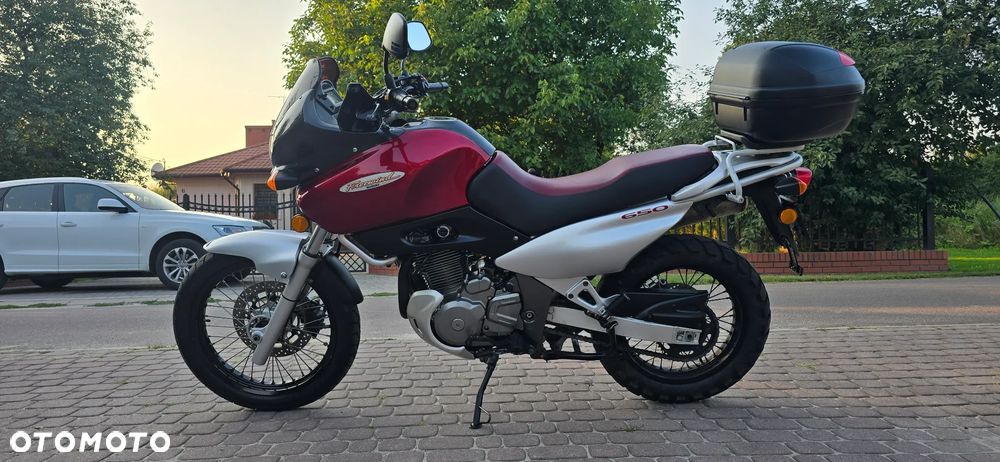 Suzuki XF - 6