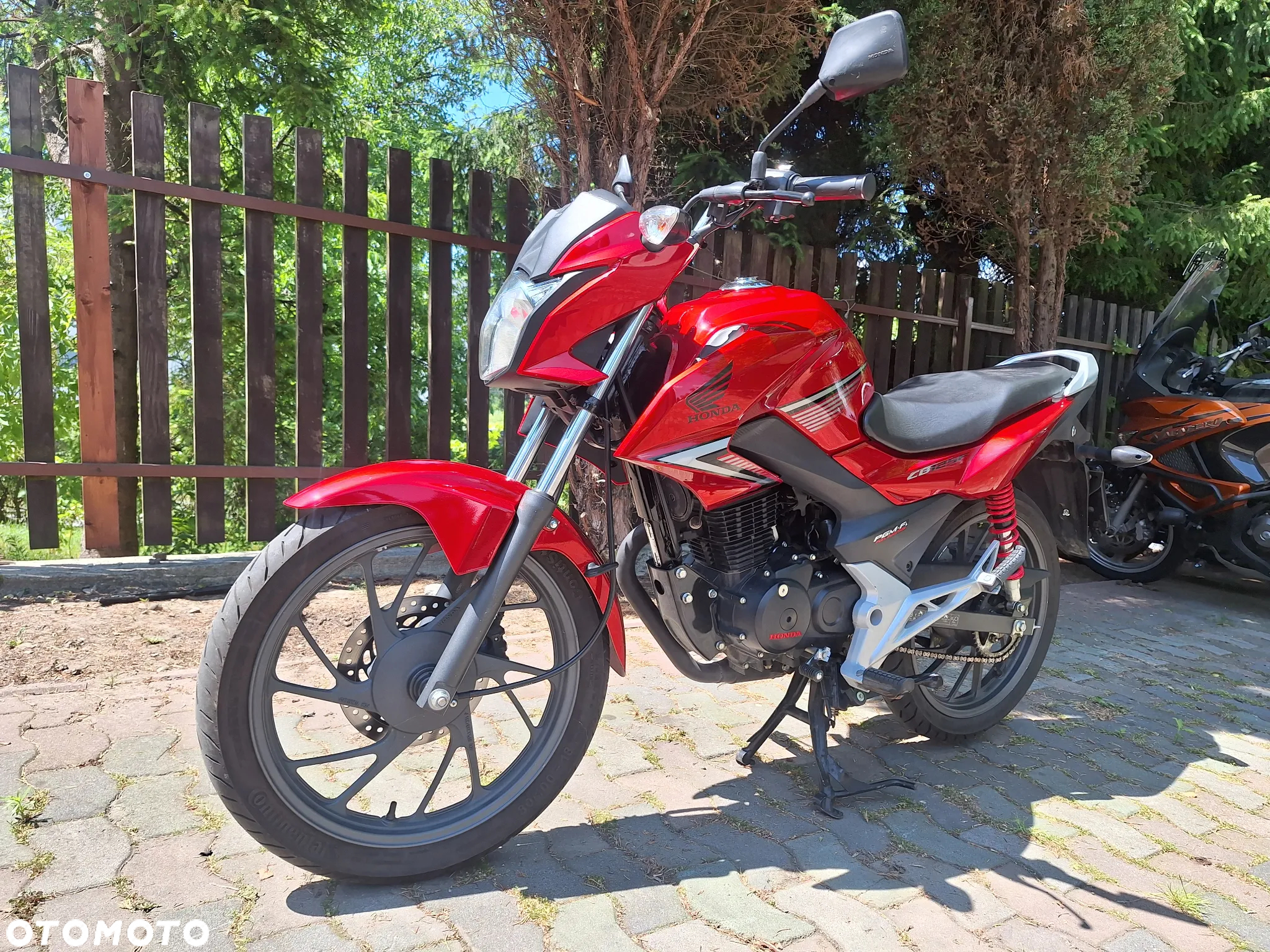 Honda CBF - 6