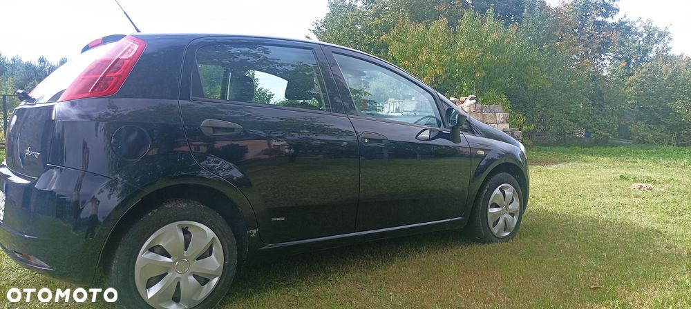Fiat Punto - 5