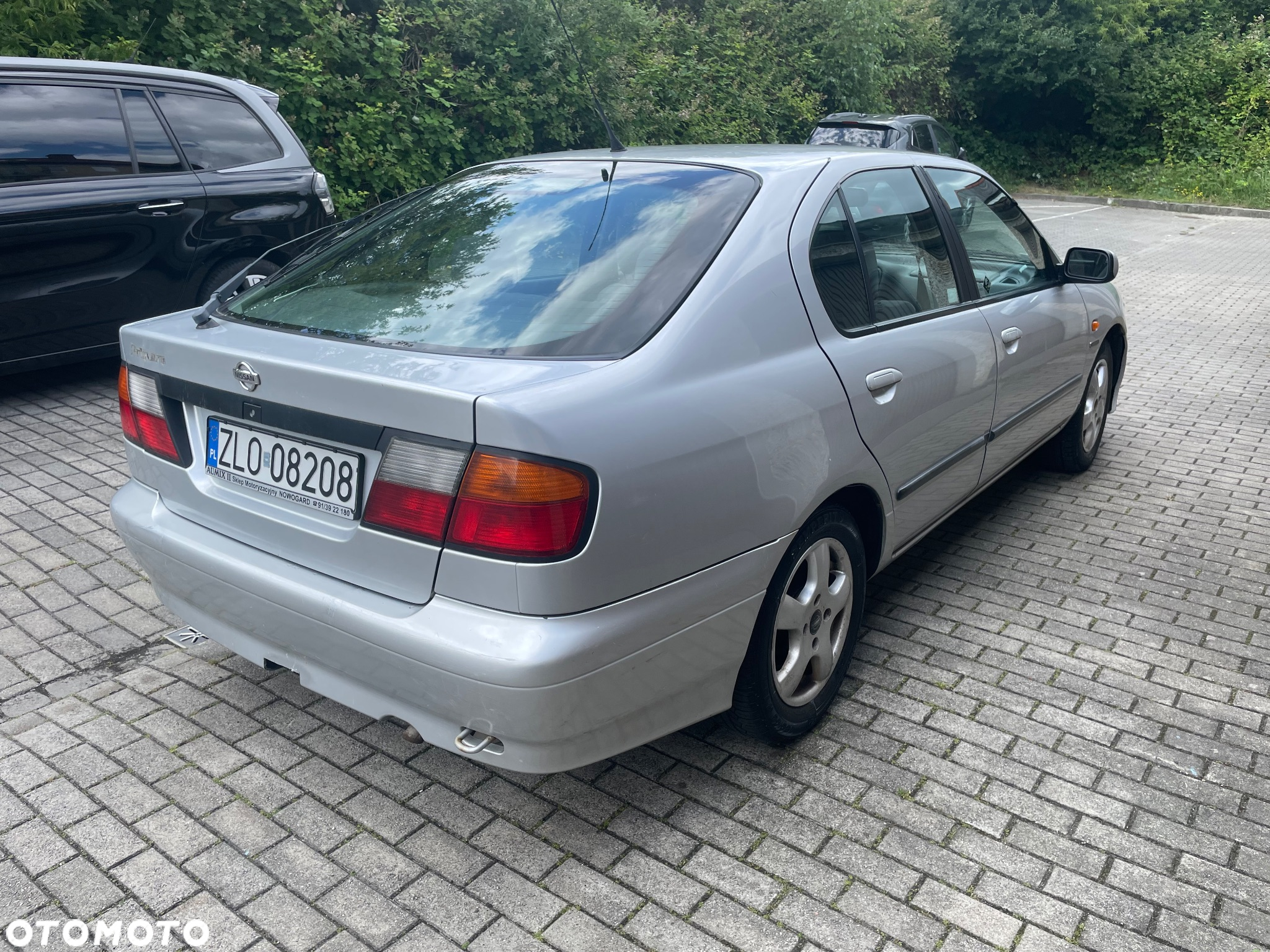 Nissan Primera - 3