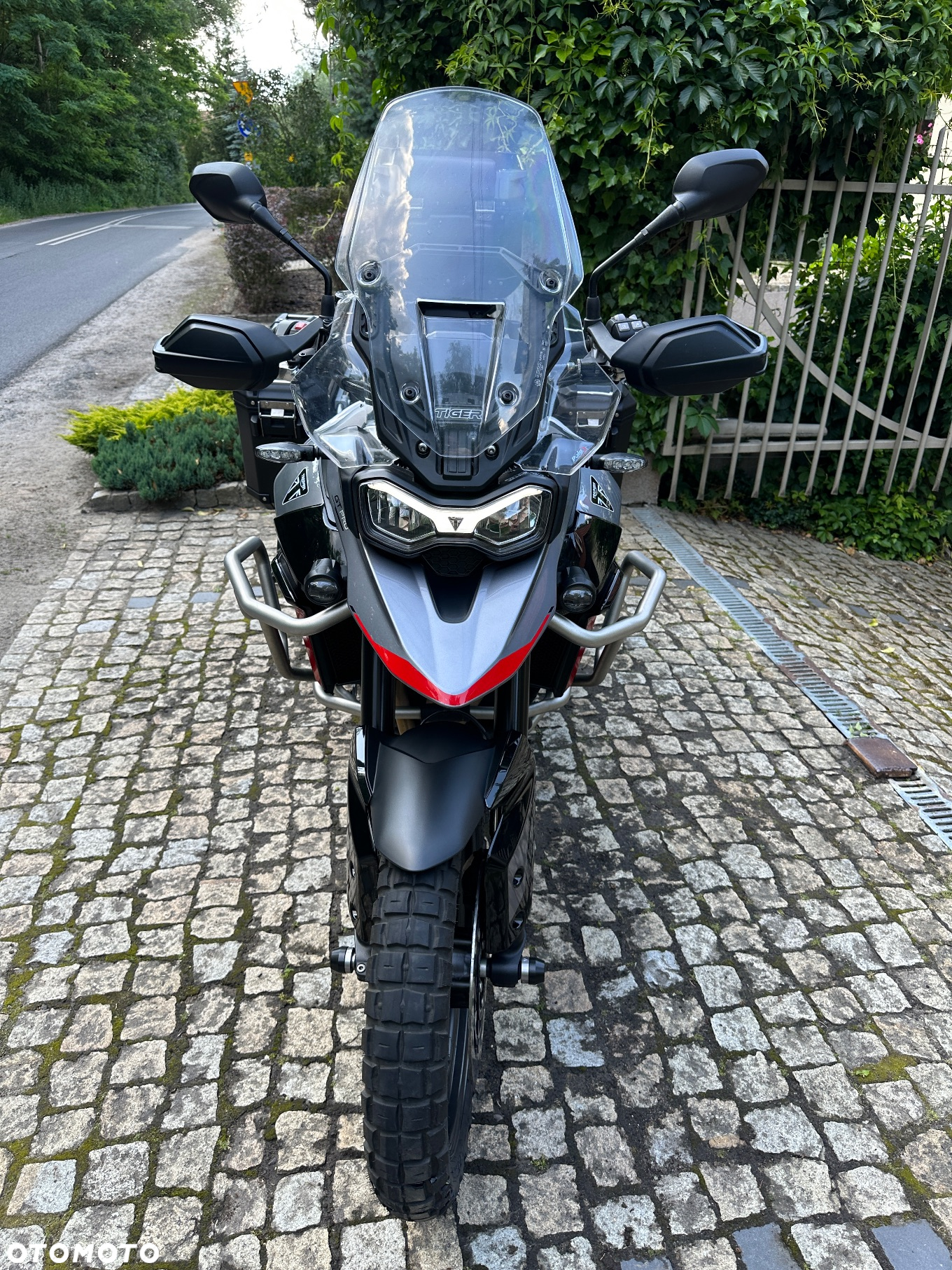 Triumph Tiger - 2