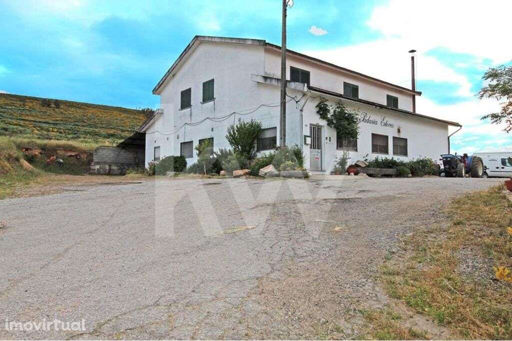 Moradia T4 com Estabelecimento Comercial de Padaria Próximo de Freixo - Grande imagem: 3/29