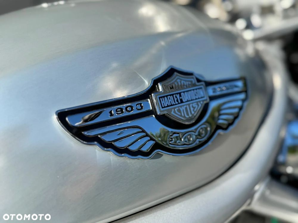 Harley-Davidson V-Rod Night Rod - 9
