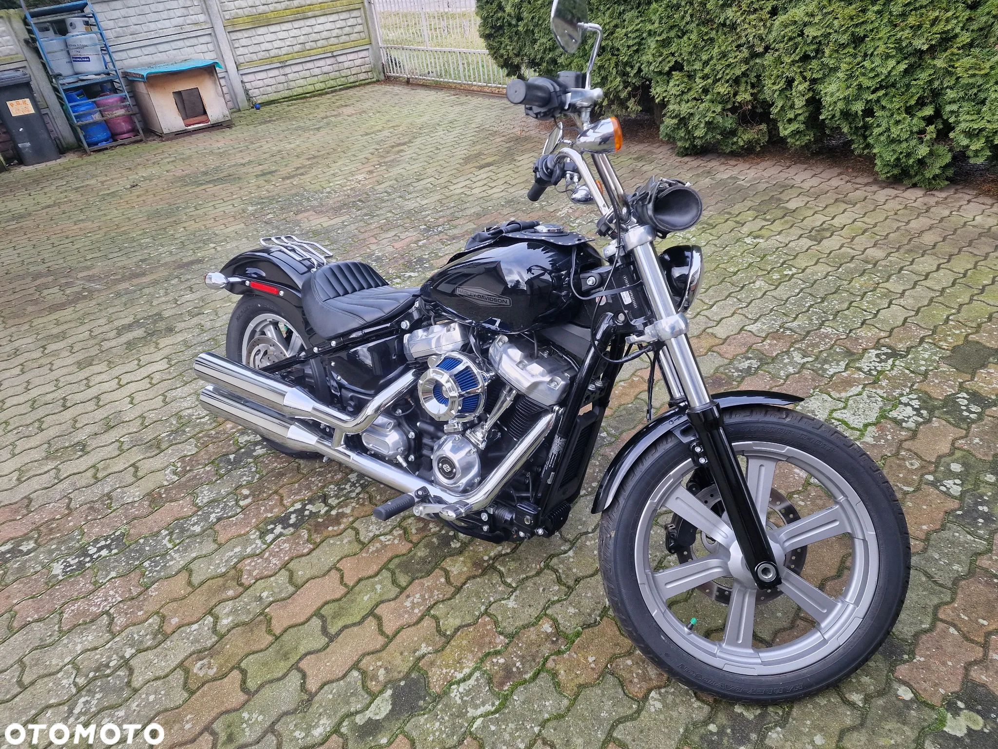Harley-Davidson Softail - 1