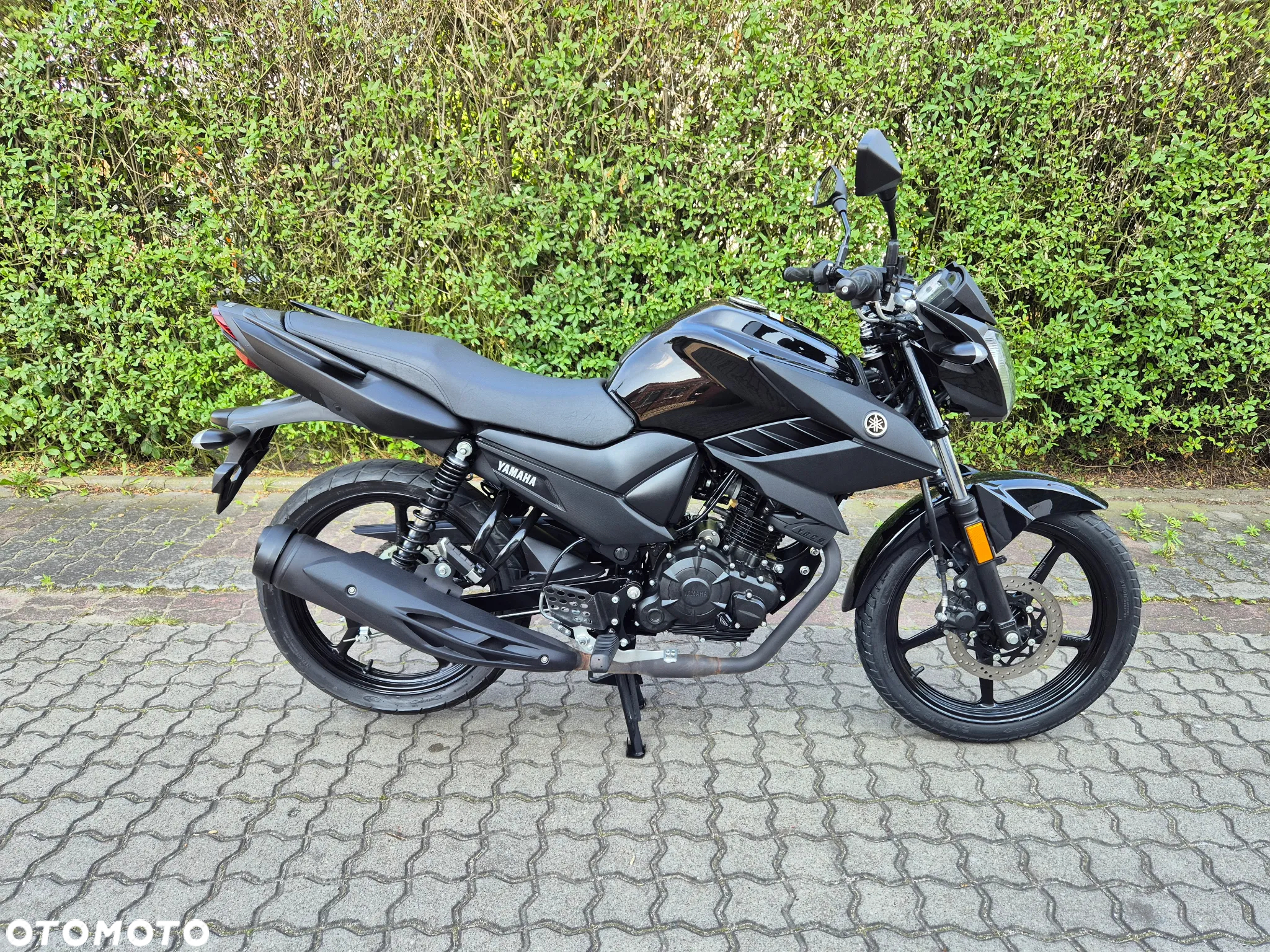 Yamaha YS - 13