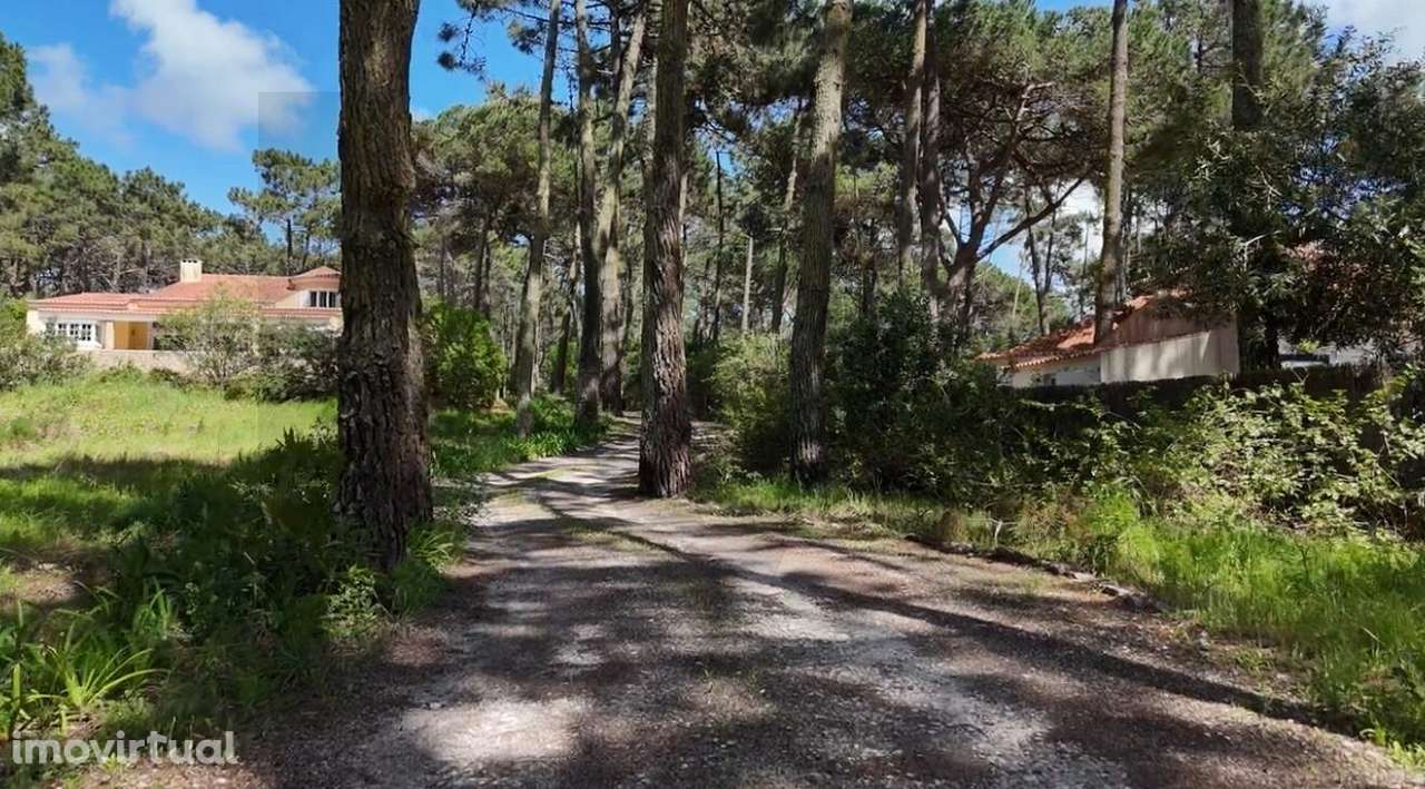 Moradia Maravilhosa no Coração do Banzão, Sintra - Grande imagem: 3/45