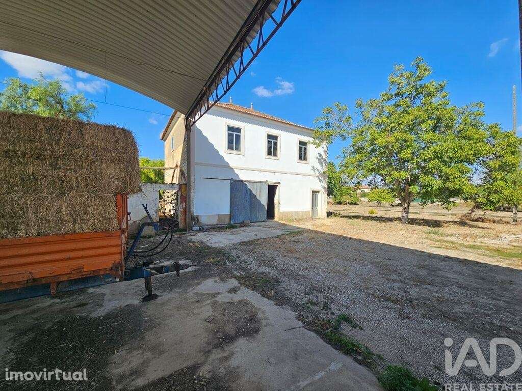 Quinta T3 em Torres Novas (Santa Maria, Salvador e Santiago) de 244 m2 - Grande imagem: 4/40