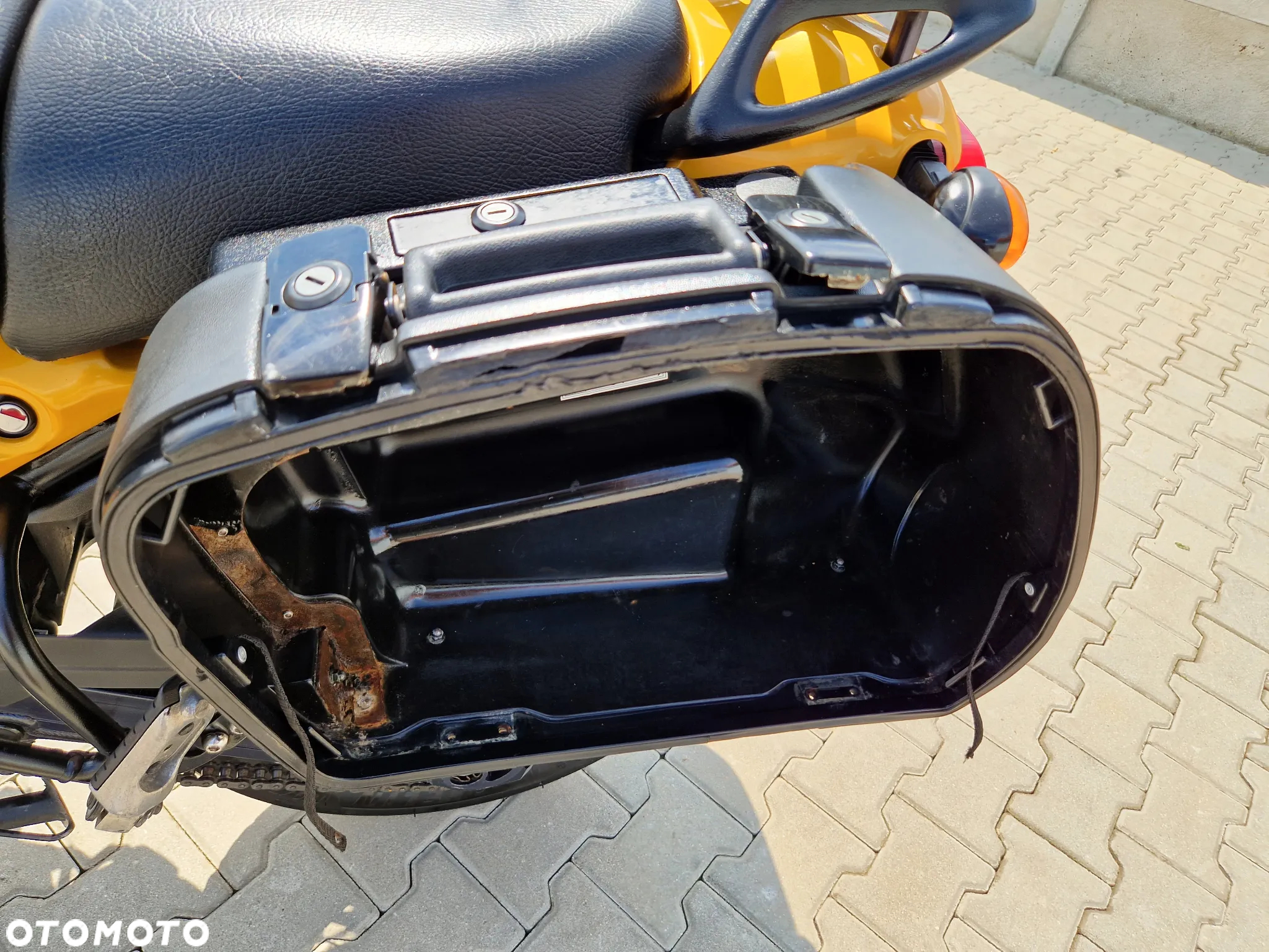 Triumph Tiger - 24