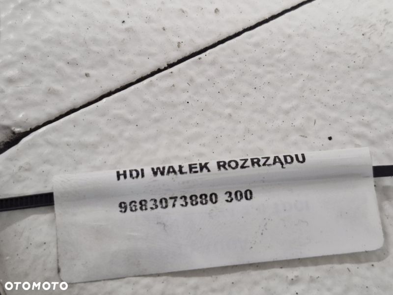 ford kuga mondeo mk4 2.0 tdci peugeot citroen 2.0 hdi wałek rozrządu 9683073880 - 9