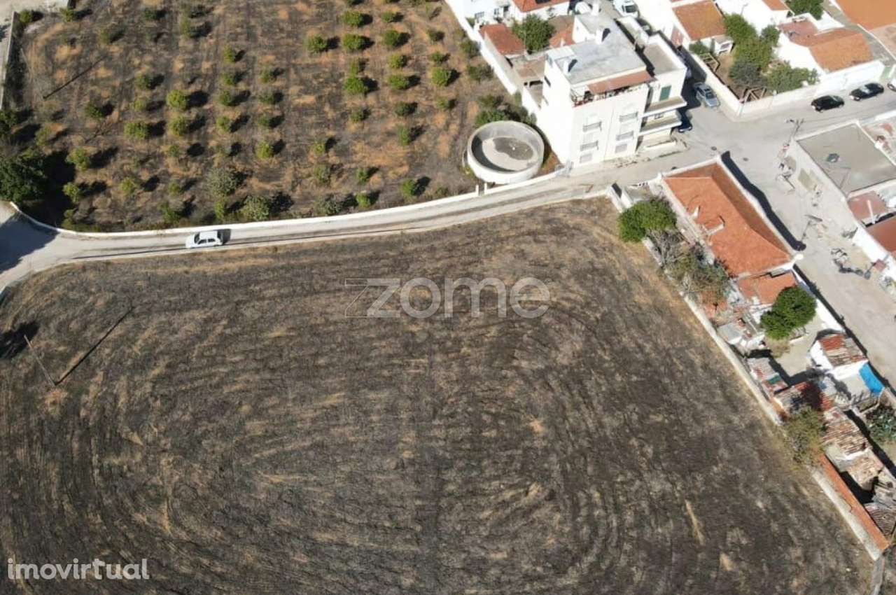 Quinta no Centro do Algoz - Grande imagem: 3/16