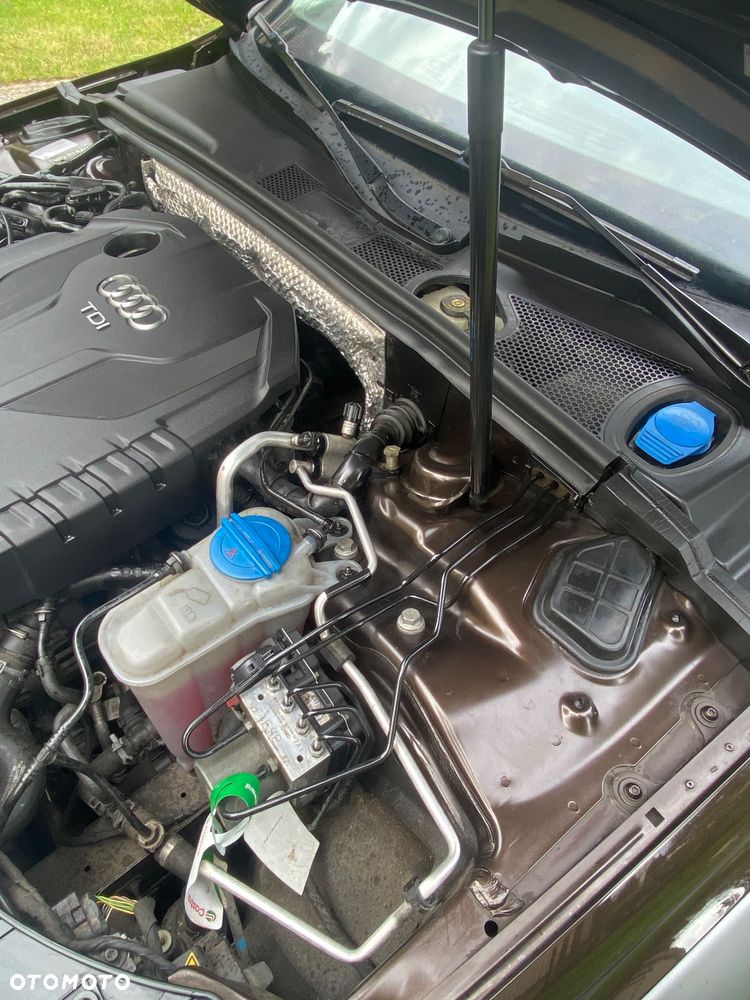 Audi A4 Allroad (clean diesel) 2.0 TDI DPF S tron - 31
