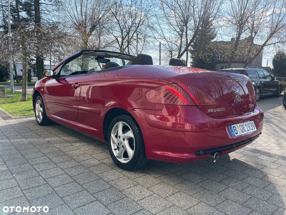 Peugeot 307 2.0 Sporty - 14