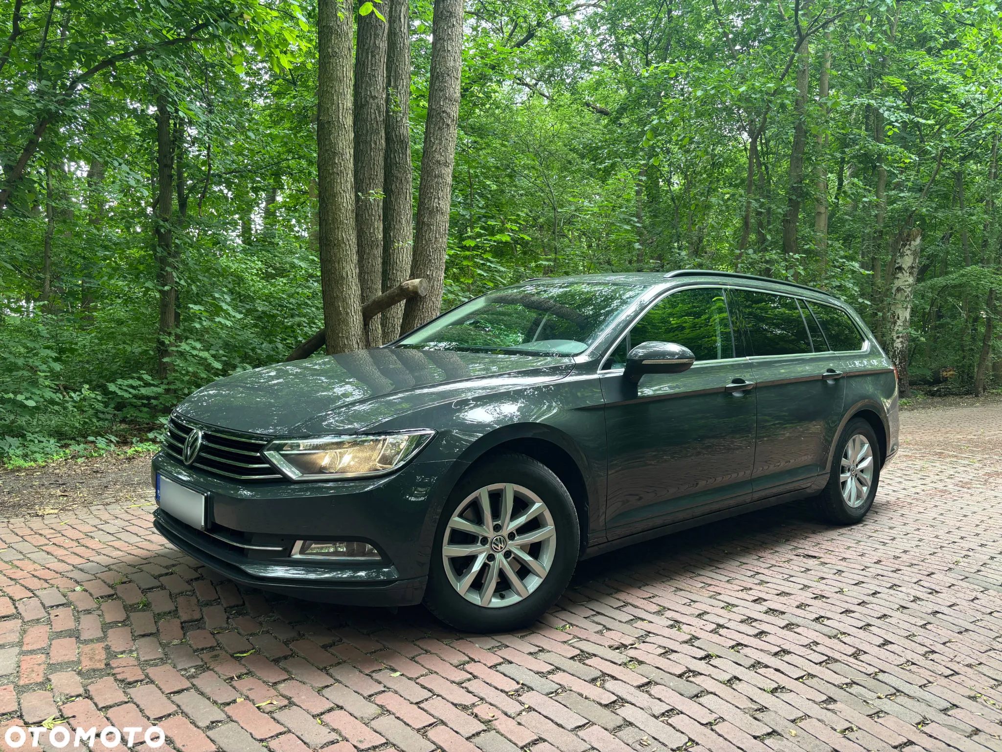 Volkswagen Passat - 2
