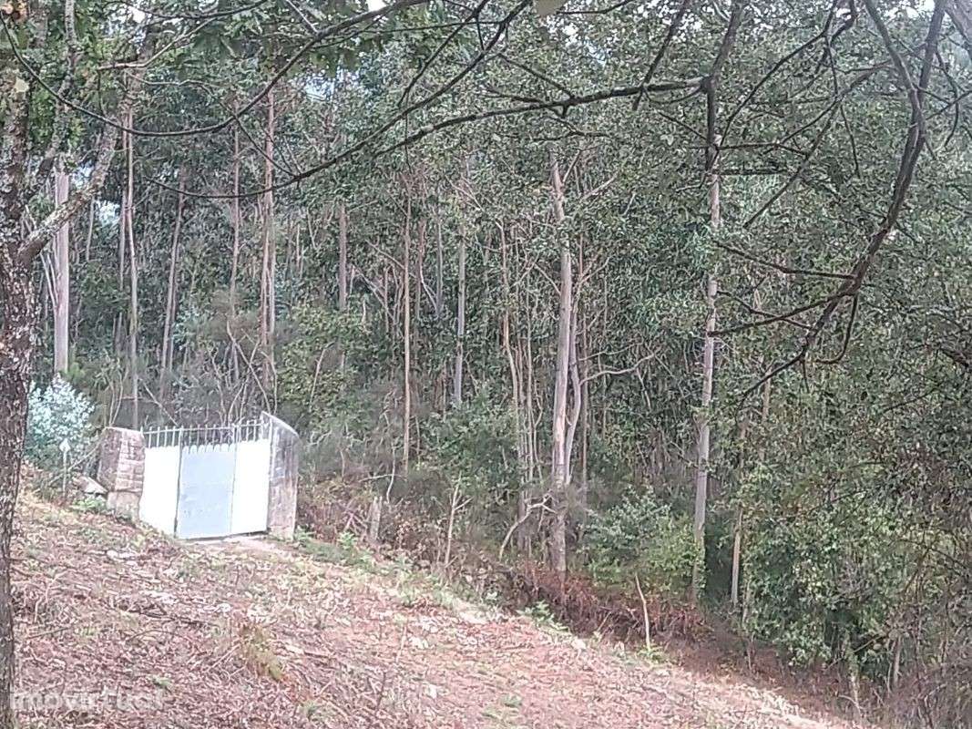 Terreno em Valença - Grande imagem: 2/24