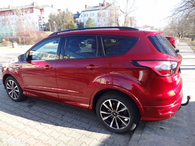 Ford Kuga 2019 photo 3
