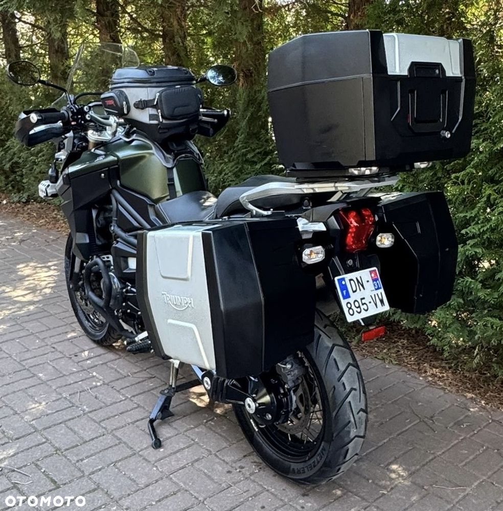 Triumph Tiger - 14