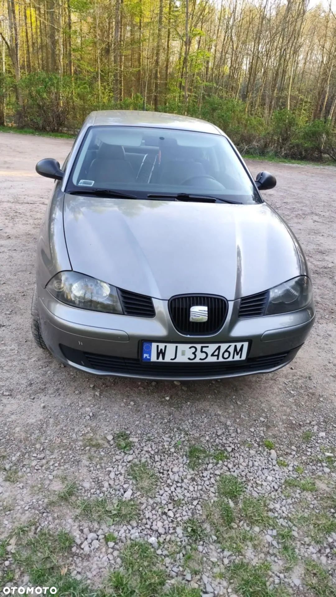 Seat Ibiza - 1