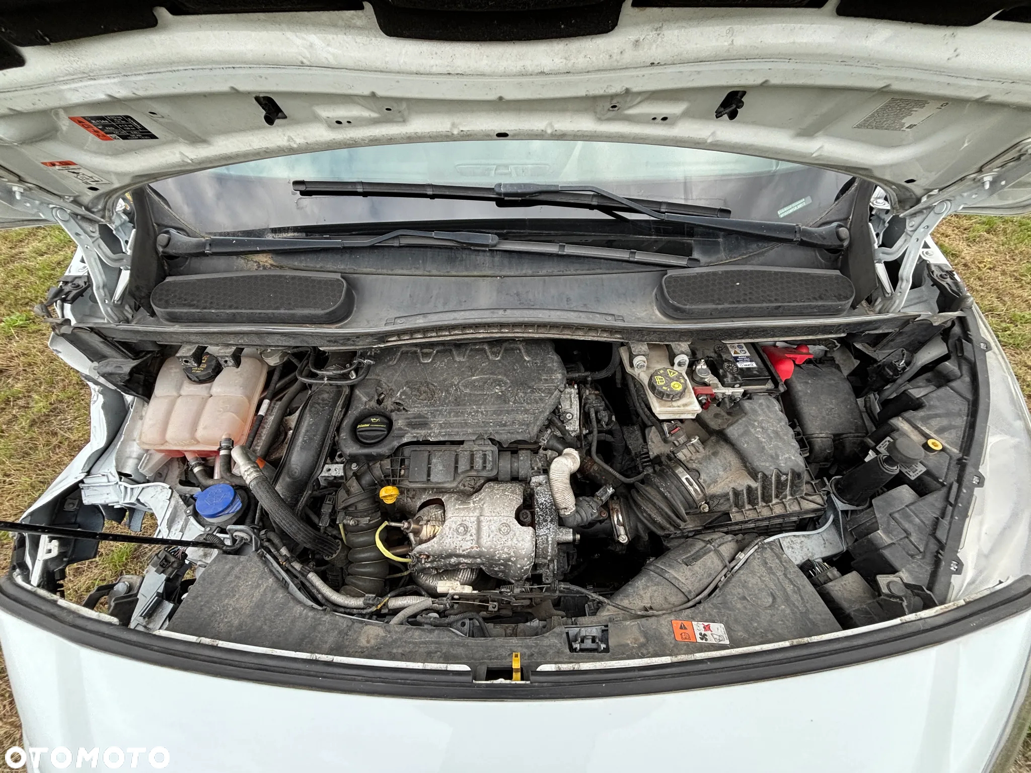 Ford Transit Connect - 16