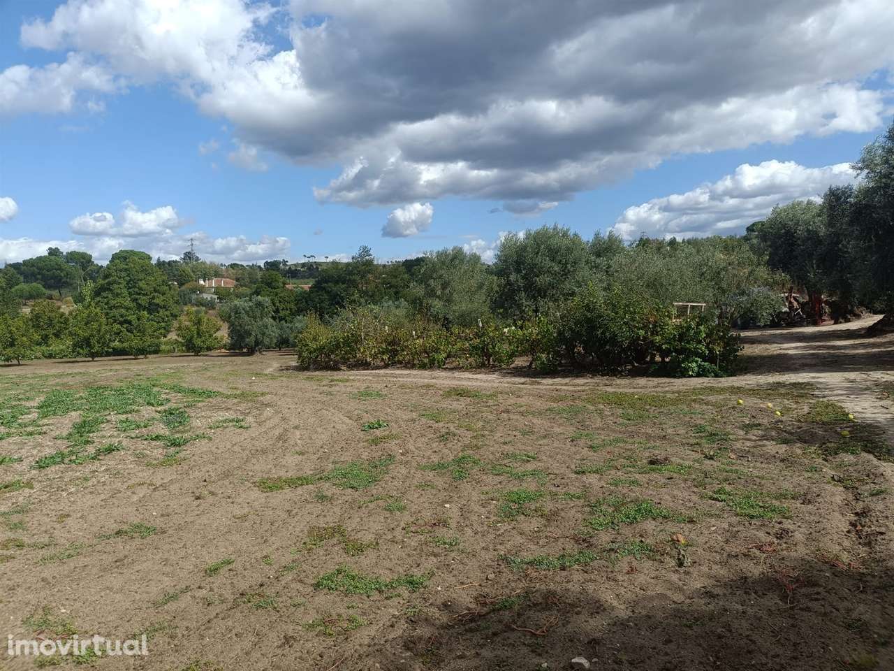 Terreno Para Construção  Venda em Paranhos,Seia - Grande imagem: 3/10