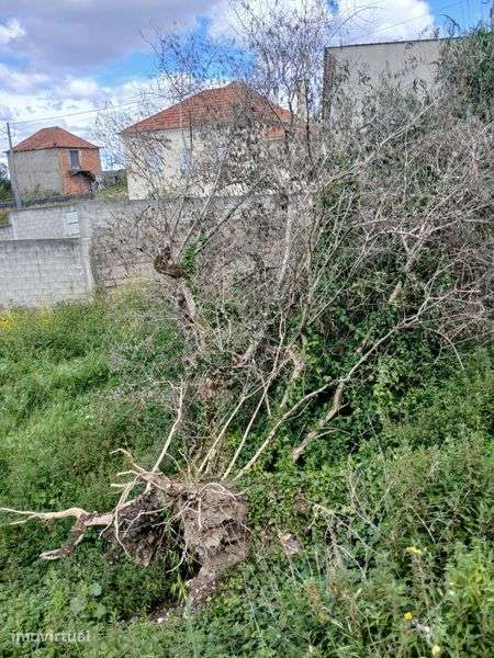 Terreno constructível bem localizado - Grande imagem: 3/5