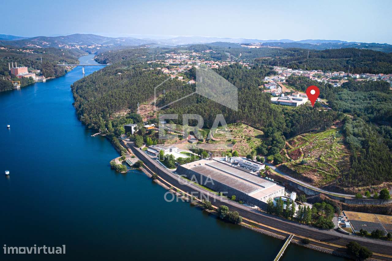 Terreno com vista para o Douro em Lever - Grande imagem: 5/6